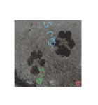 家族の軌跡 九 空（個別スタンプ：22）