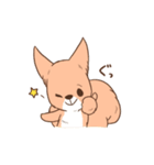 じょんジョンのねことリス（個別スタンプ：4）