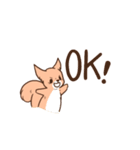 じょんジョンのねことリス（個別スタンプ：9）