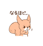 じょんジョンのねことリス（個別スタンプ：20）