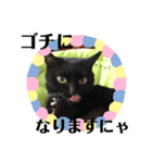 黒猫 ブラウニー ねこ cat 第2弾（個別スタンプ：7）