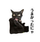 黒猫 ブラウニー ねこ cat 第2弾（個別スタンプ：11）