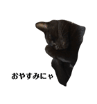 黒猫 ブラウニー ねこ cat 第2弾（個別スタンプ：20）