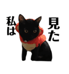 黒猫 ブラウニー ねこ cat 第2弾（個別スタンプ：22）