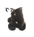 黒猫 ブラウニー ねこ cat 第2弾（個別スタンプ：26）