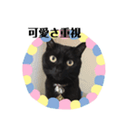 黒猫 ブラウニー ねこ cat 第2弾（個別スタンプ：29）