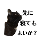 黒猫 ブラウニー ねこ cat 第2弾（個別スタンプ：40）
