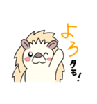 チェスタモ #1（個別スタンプ：13）