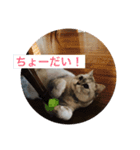 ココスタンプ2（個別スタンプ：4）