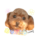 喜怒哀楽の激しい♡愛くるしいメロちゃん♡（個別スタンプ：1）