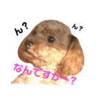 喜怒哀楽の激しい♡愛くるしいメロちゃん♡（個別スタンプ：4）