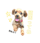 喜怒哀楽の激しい♡愛くるしいメロちゃん♡（個別スタンプ：6）