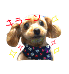 喜怒哀楽の激しい♡愛くるしいメロちゃん♡（個別スタンプ：17）