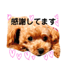 喜怒哀楽の激しい♡愛くるしいメロちゃん♡（個別スタンプ：18）