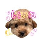 喜怒哀楽の激しい♡愛くるしいメロちゃん♡（個別スタンプ：23）