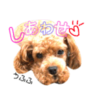 喜怒哀楽の激しい♡愛くるしいメロちゃん♡（個別スタンプ：26）