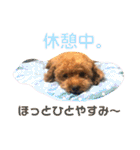 喜怒哀楽の激しい♡愛くるしいメロちゃん♡（個別スタンプ：28）