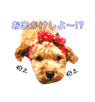 喜怒哀楽の激しい♡愛くるしいメロちゃん♡（個別スタンプ：30）
