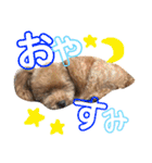 喜怒哀楽の激しい♡愛くるしいメロちゃん♡（個別スタンプ：32）