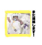 日常で使える、ことせのスタンプ（個別スタンプ：16）