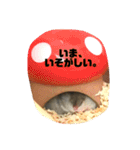きつめなっちゃん わがままわかちゃん（個別スタンプ：2）