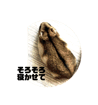 きつめなっちゃん わがままわかちゃん（個別スタンプ：6）
