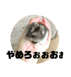 きつめなっちゃん わがままわかちゃん（個別スタンプ：9）
