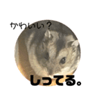 きつめなっちゃん わがままわかちゃん（個別スタンプ：12）