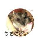 きつめなっちゃん わがままわかちゃん（個別スタンプ：13）