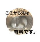 きつめなっちゃん わがままわかちゃん（個別スタンプ：16）
