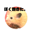 きつめなっちゃん わがままわかちゃん（個別スタンプ：17）