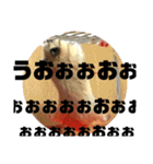 きつめなっちゃん わがままわかちゃん（個別スタンプ：22）