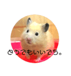 きつめなっちゃん わがままわかちゃん（個別スタンプ：23）