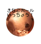 きつめなっちゃん わがままわかちゃん（個別スタンプ：25）