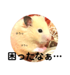 きつめなっちゃん わがままわかちゃん（個別スタンプ：27）