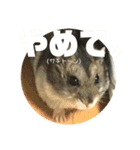 きつめなっちゃん わがままわかちゃん（個別スタンプ：31）