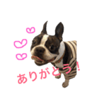 ぼちぼち、ボス太郎です。（個別スタンプ：2）