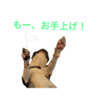 ぼちぼち、ボス太郎です。（個別スタンプ：23）