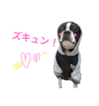 ぼちぼち、ボス太郎です。（個別スタンプ：26）