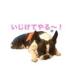 ぼちぼち、ボス太郎です。（個別スタンプ：30）