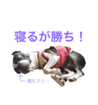 ぼちぼち、ボス太郎です。（個別スタンプ：32）