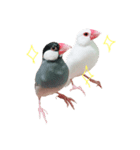 フィン＆チェリー（個別スタンプ：2）