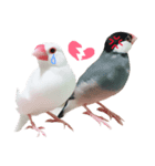 フィン＆チェリー（個別スタンプ：3）