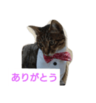 レオ＆ミケ（個別スタンプ：7）