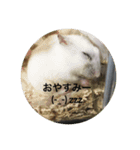 ハム会話 基本眠い（個別スタンプ：2）