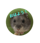 ハム会話 基本眠い（個別スタンプ：3）