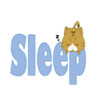 もっちり★まゆげねこ デカ文字ver（個別スタンプ：21）