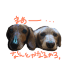 てんてん vol.1（個別スタンプ：3）