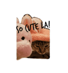 にゃんこ、uniの日常（個別スタンプ：12）