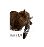 にゃんこ、uniの日常（個別スタンプ：16）